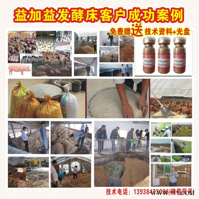 益加益发酵床菌种养鸡养猪养鸭养蛇阳台养殖技术益生菌发酵床菌剂发酵床养猪技术图5