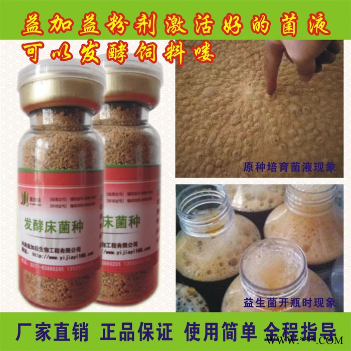 益加益发酵床菌种养鸡养猪养鸭养蛇阳台养殖技术益生菌发酵床菌剂发酵床养猪技术图2