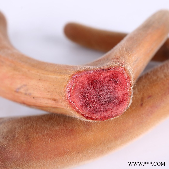 全蜡鹿茸玛卡鹿鞭鹿茸泡酒图3