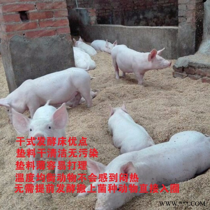 绿陇 干撒式发酵床菌种养鸡养猪养鸭养蛇阳台养殖技术益生菌发酵床菌剂