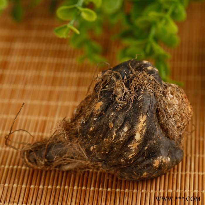 云南丽江新鲜玛咖鲜果 黑玛卡鲜果 秘鲁 补肾 现货销售 包邮