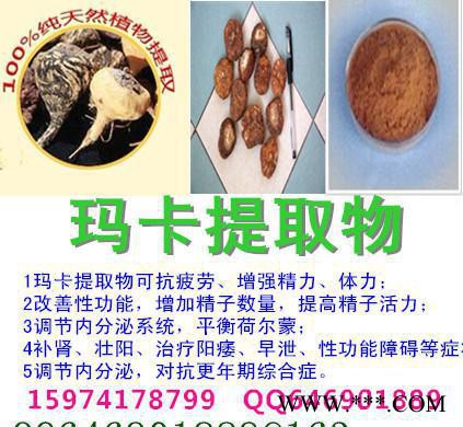 玛卡提取物 玛咖的功效 MACA
