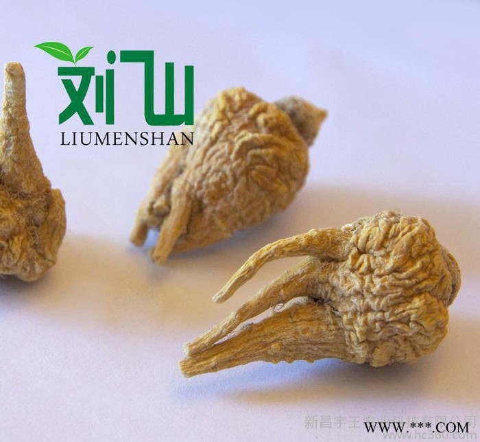 黄黑玛卡（特级）图2