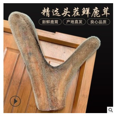 吉林梅花鹿二杠头茬鲜鹿茸整枝连刀切新鲜鹿茸片干鹿茸整根批发