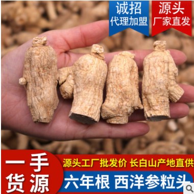 东北长白山西洋参粒头500克花旗参段整枝支切片打粉图3