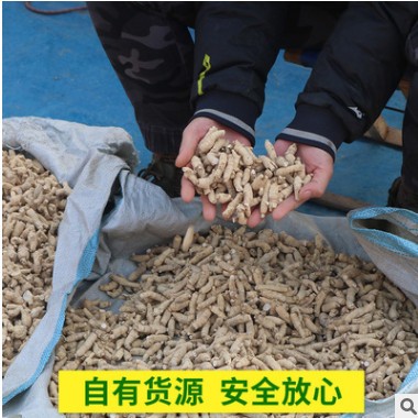 东北长白山西洋参粒头500克花旗参段整枝支切片打粉图2