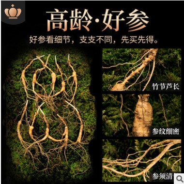 林下参15-20年新鲜野山参500g老山参泡酒长白山现货籽货一斤装