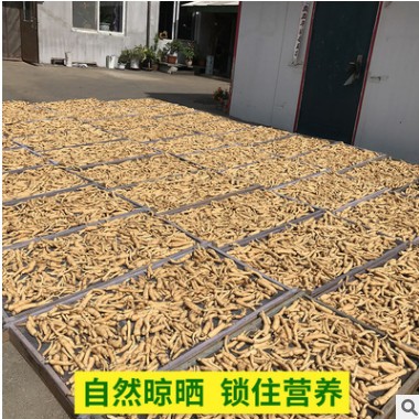 西洋参根须500g散装大丁段泡药长白山干货花旗参丁段根洋参须现货