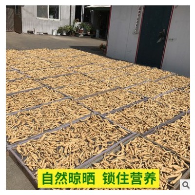 西洋参根须500g散装大丁段泡药长白山干货花旗参丁段根洋参须现货