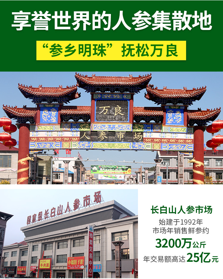 西洋参丁_02.jpg