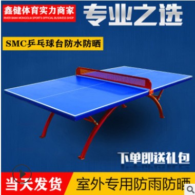 室外标准家用户外乒乓球桌比赛移动球台案子SMC防水防晒图2