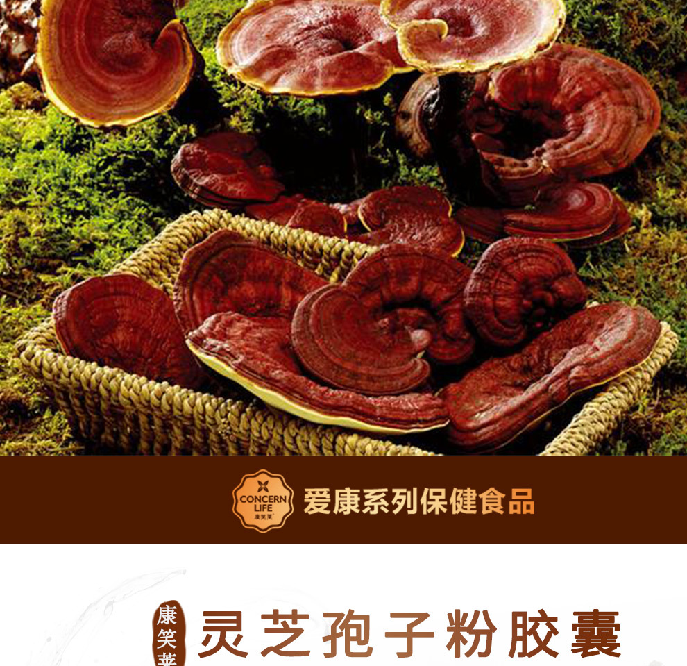 孢子粉 (1)