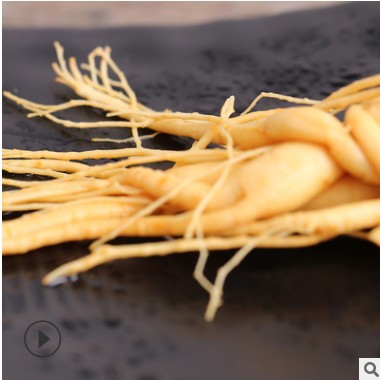 长白山产地货源单支保鲜参整支 泡酒煲汤人参林下参一件代发图3