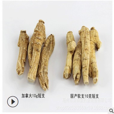 西洋参段加拿大进口参粒500g 正宗花旗参段整枝粒头免费切片打粉