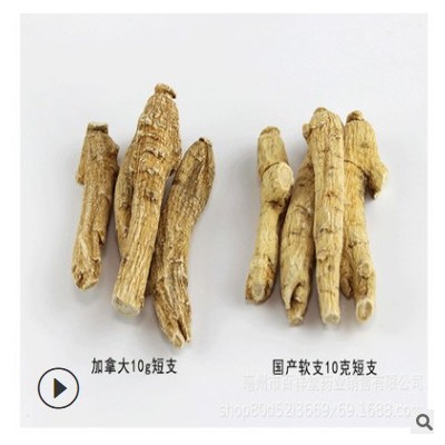 西洋参段加拿大进口参粒500g 正宗花旗参段整枝粒头免费切片打粉