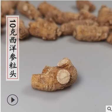 国产西洋参粒头 西洋参短支参 尖尾各个规格都有现货参有点偏硬