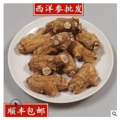 西洋参软质整支西洋参粒头圆粒西洋参二面可切片现货批发西洋参条