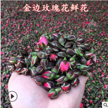 云南金边玫瑰花批发玫瑰花茶泡茶泡水干玫瑰花散装