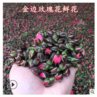 云南金边玫瑰花批发玫瑰花茶泡茶泡水干玫瑰花散装