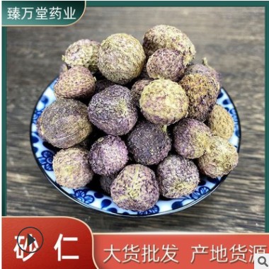 批发砂仁大货中药材现货阳春砂砂仁米支持药检产地货源砂仁果图3