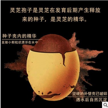 灵芝孢子粉破壁长白山正品250g散装林芝椴木赤灵芝孢子粉贴牌oem