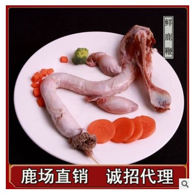 鹿鞭新鲜整枝大鹿鞭正品干男用吉林鹿鞭鹿茸泡酒顺丰包邮