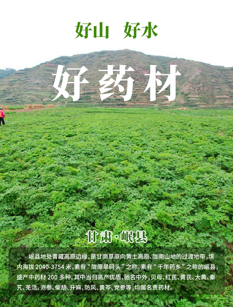 详情页_02.jpg