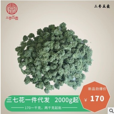 三参五壶三七花 2000g起批 仓库直发图3