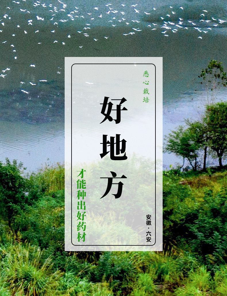 详情页_02.jpg
