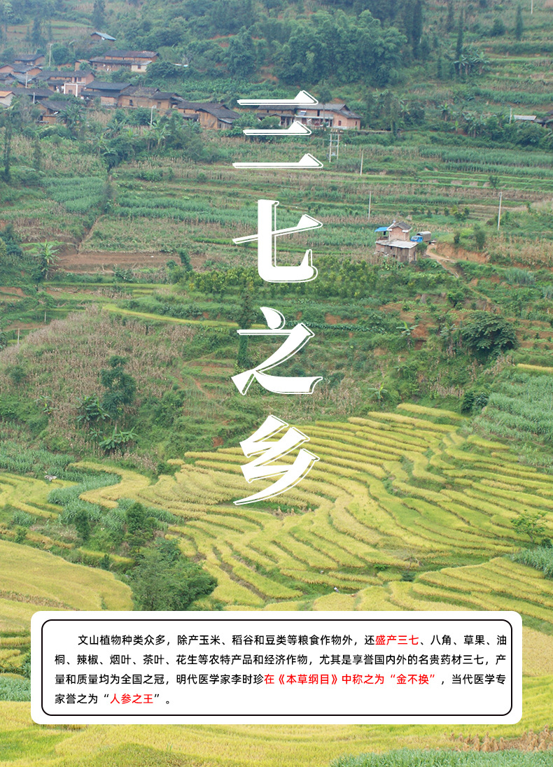 详情页_02.jpg
