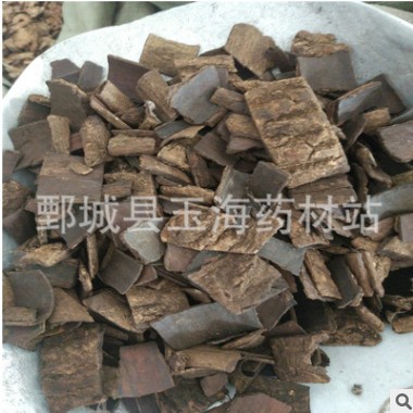 杜仲 四川炒杜仲 玉海药材批发各种规格药材