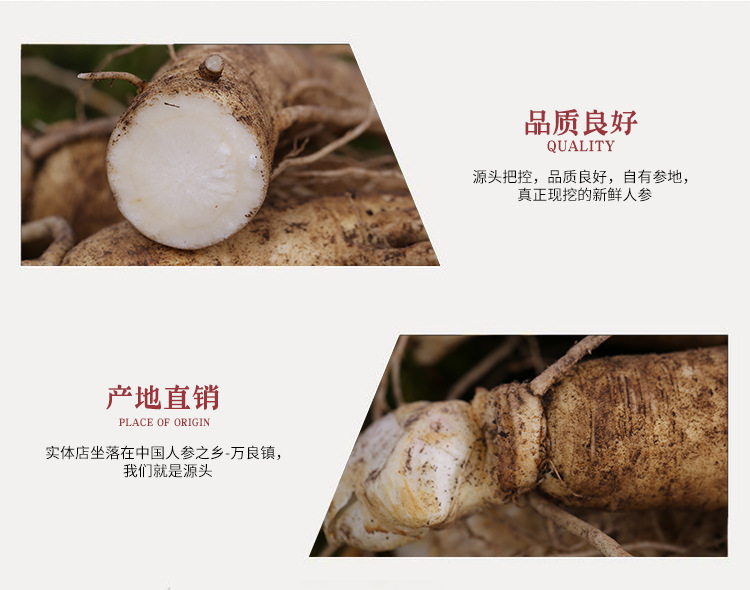 保鲜参详情_02