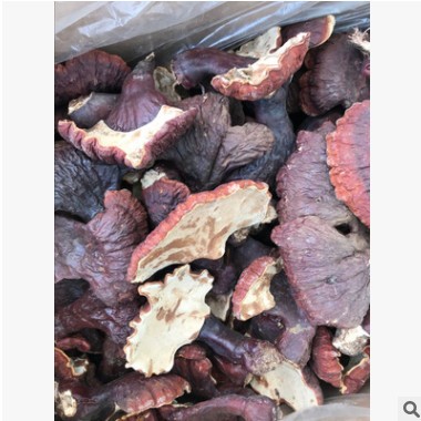 灵芝 灵芝白肉灵芝淡香甘味灵芝批发一件代发