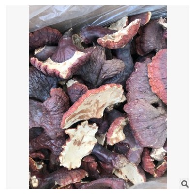 灵芝 灵芝白肉灵芝淡香甘味灵芝批发一件代发