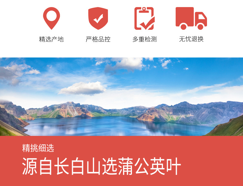 蒲公英叶详情_02