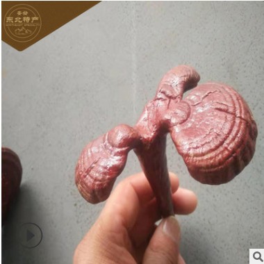 东北特产灵芝吉林长白山现货灵芝片袋装泡酒送礼灵芝类招代理可代图3