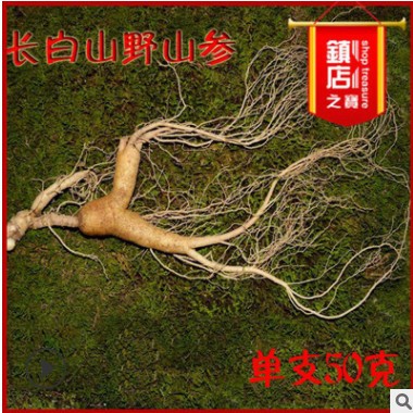 新鲜林下山参带土新挖人参 18年林下移山参50克鲜东北泡酒人参