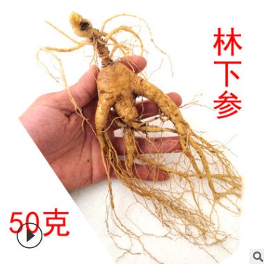 新鲜林下山参带土新挖人参 18年林下移山参50克鲜东北泡酒人参图2