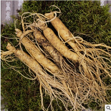 鲜人参批发 新鲜人参带土新挖东北特产泡酒招代理 中秋礼品厂家图3