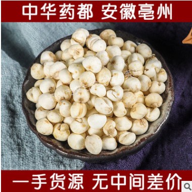 散装现货供应 产地一手货源贝母 手工挑选无熏硫贝母