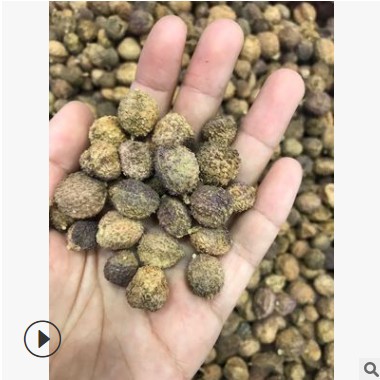 林中森中药材厂家产地货源散装云南砂仁阳春砂亳州中药材