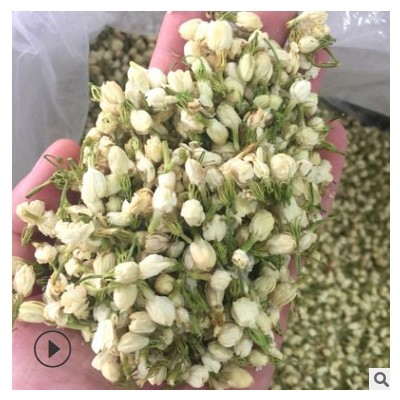 林中森中药材厂家产地货源现货批发花草茶散装茉莉花干