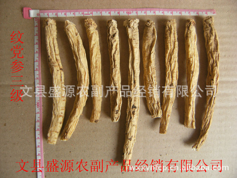 纹党参3等_副本