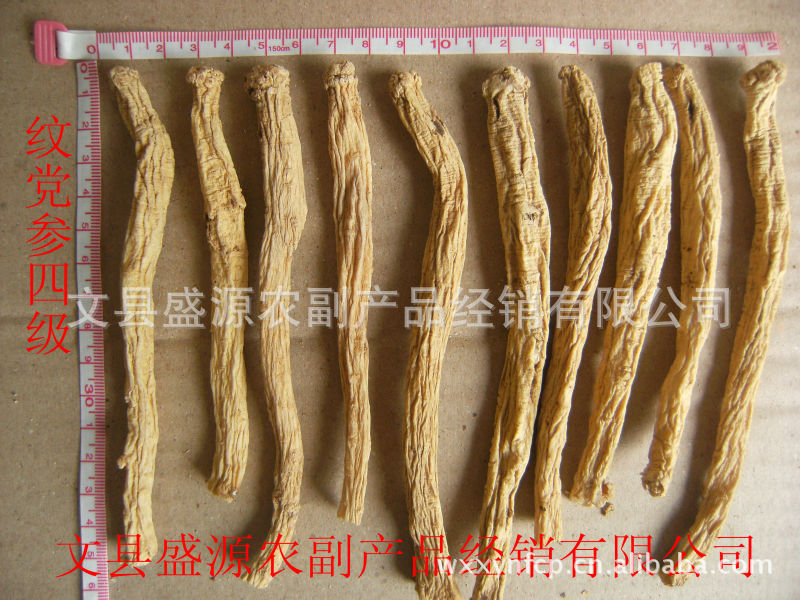 纹党参4等_副本