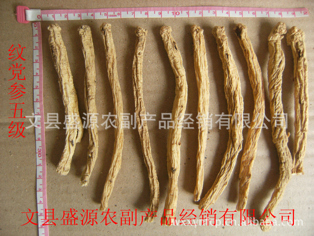 纹党参5等_副本