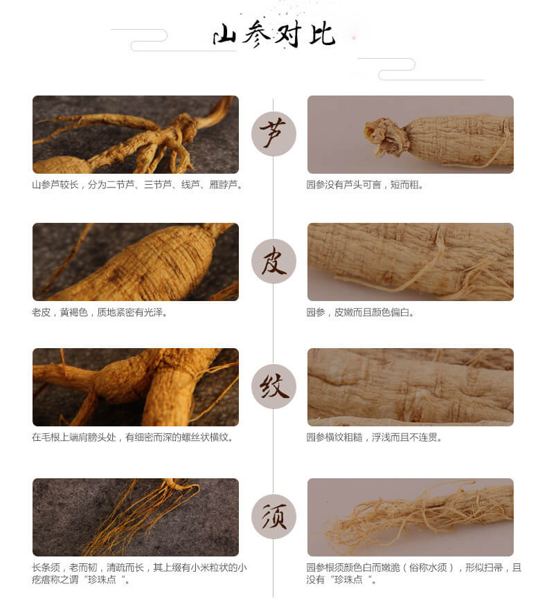 灵芝山参泡酒移山参野山参人参泡酒