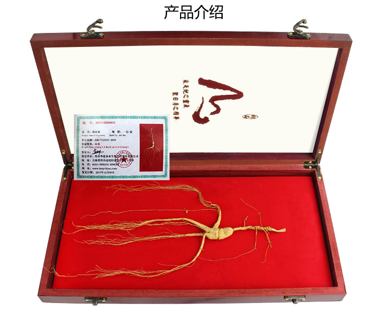 山参礼盒东北林下参灵芝泡酒东北山参礼品盒