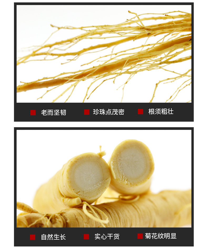 鲜参泡蜂蜜 灵芝鲜人参煲鸡汤 基地直销