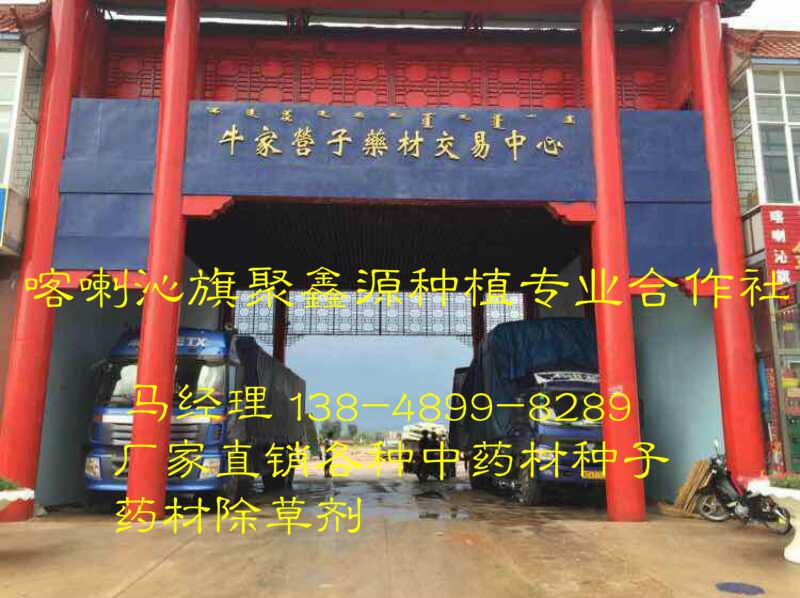 当归封闭除草剂的用途