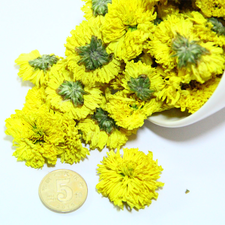 皇菊60 三